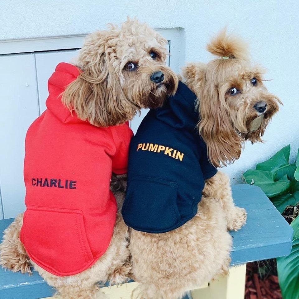 Supreme pet hoodie sale