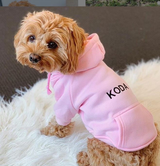 Hoodie pet sales