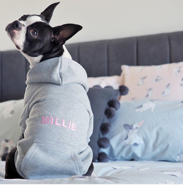 GREY PET HOODIE