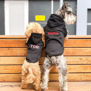 BLACK PET HOODIE