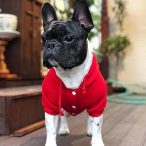 RED PET HOODIE
