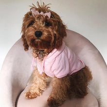 PINK PET HOODIE