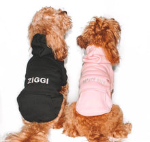 PINK PET HOODIE