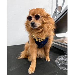 FASHION PET SUNGLASSES