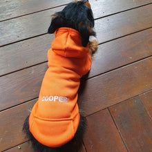 ORANGE PET HOODIE