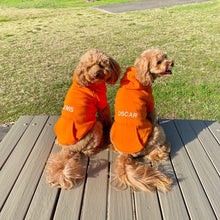 ORANGE PET HOODIE