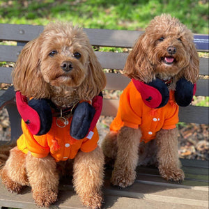 ORANGE PET HOODIE