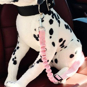 BUNGEE SAFETY PET SEATBELT