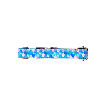 RAINBOW FISH COLLAR