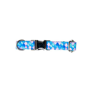 RAINBOW FISH COLLAR