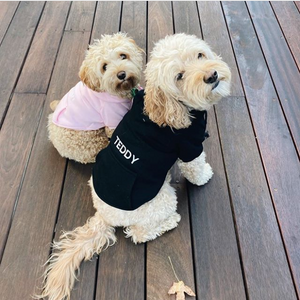 BLACK PET HOODIE
