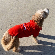 RED PET HOODIE