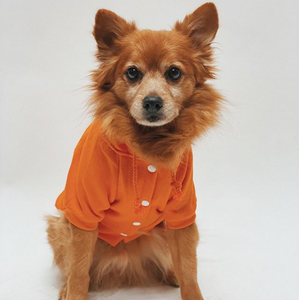 ORANGE PET HOODIE