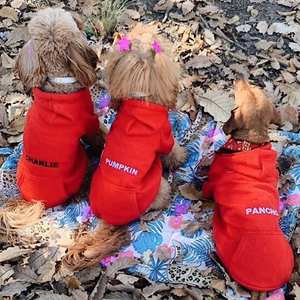 RED PET HOODIE