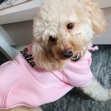 PINK PET HOODIE