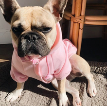 PINK PET HOODIE