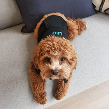 BLACK PET HOODIE