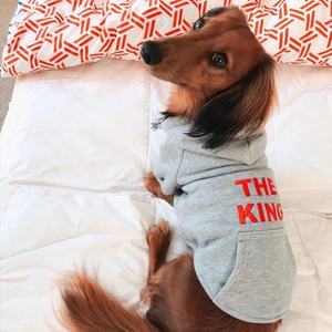 GREY PET HOODIE