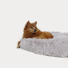 PLUSH PET BED