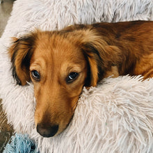 PLUSH PET BED