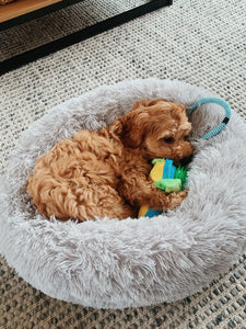 PLUSH PET BED