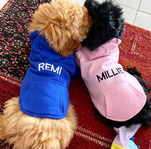 BLUE PET HOODIE
