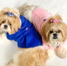 BLUE PET HOODIE